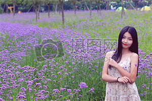 上海的贸易壁垒与挑战